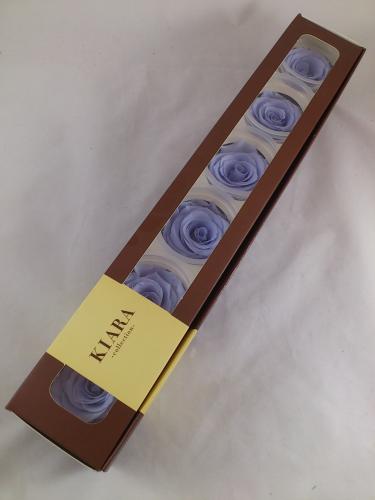 Konservierte rose 6 st. XL Ø 6-6.5 cm cool lavender